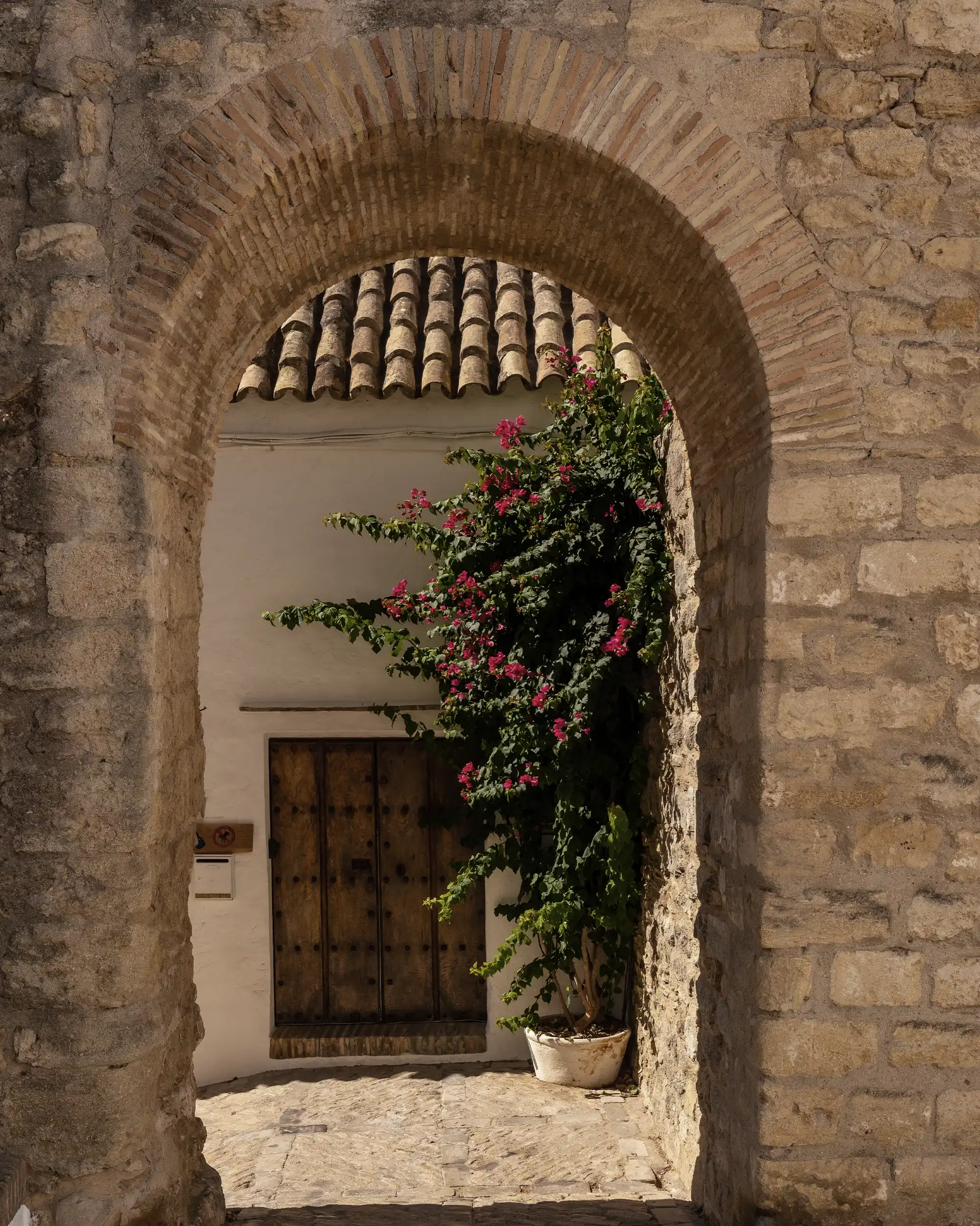 edit-fotos-valhalla_puertaVejer copia